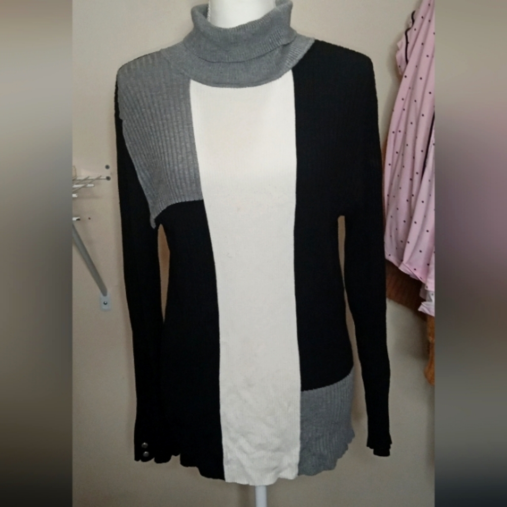 Long sleeve turtle neck sweater